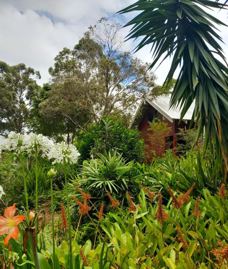 Sky Island Studios Mount Tamborine Dış mekan fotoğraf