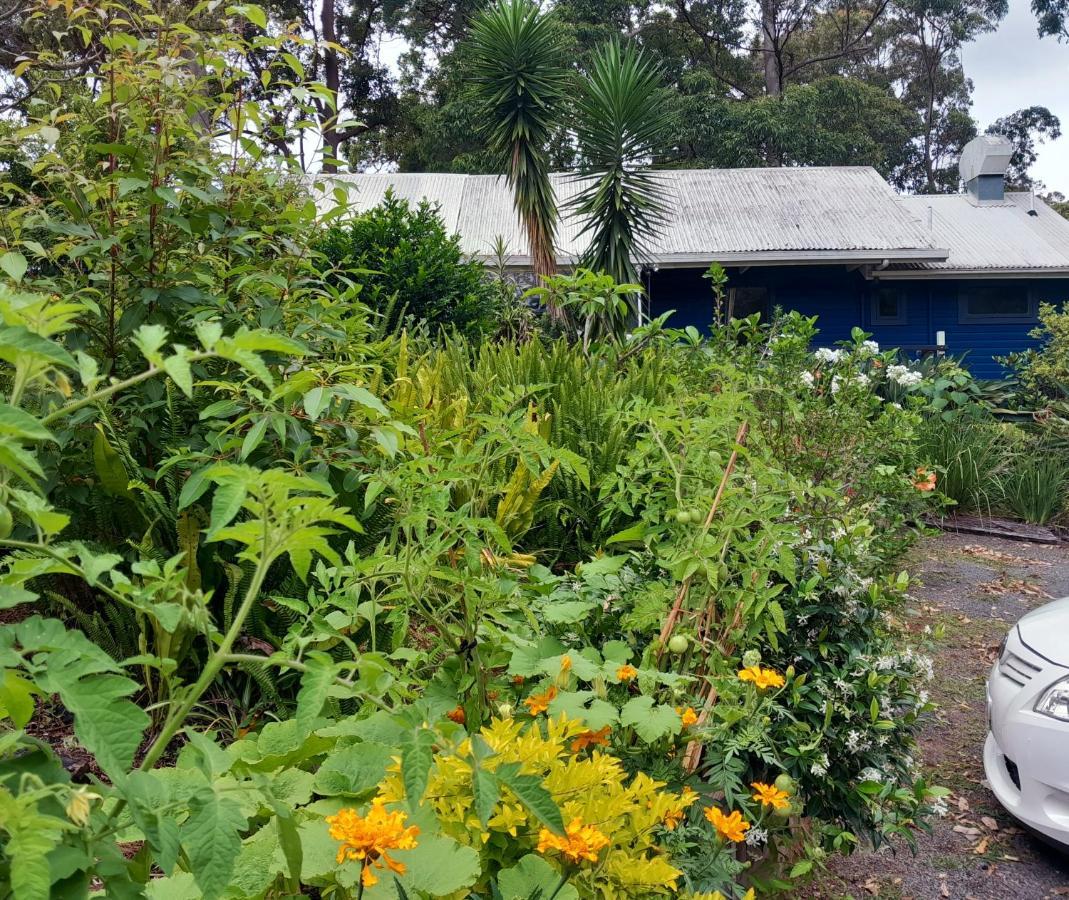 Sky Island Studios Mount Tamborine Dış mekan fotoğraf